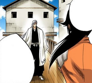 Ukitake identifies the anesthetic that Yoruichi Shihōin used to subdue Ichigo.