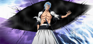 Grimmjow Jaegerjaquez in his base form.