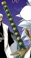 Hitsugaya's sealed Zanpakutō.