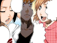 Ichigo sees Karin and Yuzu treating Shūkurō Tsukishima like a member of their family.