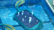 A Butter Case lies in a pool.