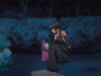 Featured image of post Soi Fon Bleach Wiki I never liked soi fon