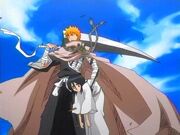 Ichigo salva a Rukia