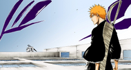 Ichigo confronts Zangetsu in his inner world.