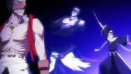 Kōga appears in front of Byakuya after he slices one of his Illusions.