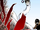 Fragor/Image Gallery