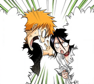 Rukia argues with Ichigo over his rescue attempt.