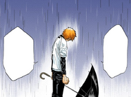 Ichigo asks Isshin why he does not blame him for Masaki's death.