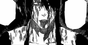 Byakuya berbicara pada Ichigo.