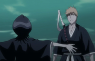 Rukia stops Ichigo.