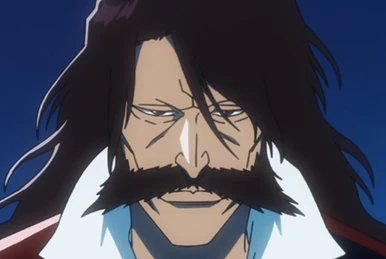 Bleach Anime 5th Anniversary Boxset | Bleach Wiki | Fandom