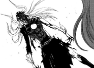 Ichigo jako Vasto Lorde.