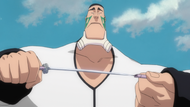 Poww's Zanpakutō, Calderón.