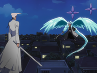 Hitsugaya faces off against Shawlong.