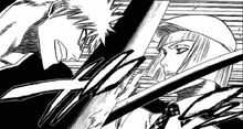 Hirako detiene el ataque de Ichigo