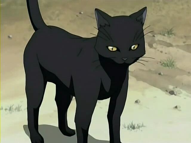 Yoruichi Shihōin Bleach Wiki Fandom Yoruichi Shihōin Bleach Wiki Fandom