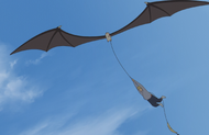 Osushi carries Balgo through the air after partially transforming.