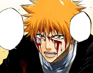 Ichigo declares that he would have fought the law if he were in Byakuya's position.