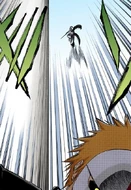 Ulquiorra ascends past Ichigo toward the dome.