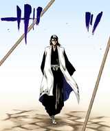 Byakuya arrives at the execution.