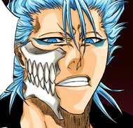 Grimmjow.