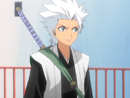 Kapitan Hitsugaya.