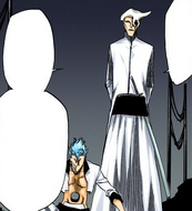 Shawlong Koufang concurs with Grimmjow that Ulquiorra Cifer should have killed Ichigo Kurosaki.