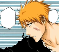 Ichigo asserts that he will defeat Aizen.