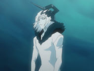 Zangetsu (Quincy Powers) | Bleach Wiki | Fandom