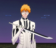 190px-Ep358 Ichigo holding sword