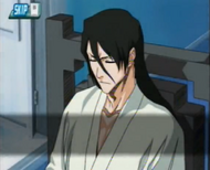 Byakuya plans to carry out Yamamoto's orders, even in his condition.