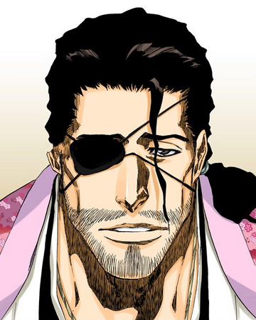 Shunsui KyÅraku Expanded Universe Bleach Wiki Fandom Ikomikidomoe constantly banters with hikone, can open portals through the garganta at will, and possesses three different release commands. expanded universe bleach wiki fandom