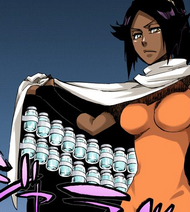 589Yoruichi reveals