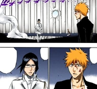 Uryū explains the factors delaying his arrival to Ichigo.
