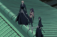 The group arrives at the Senkaimon.