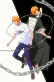 Ichigo3