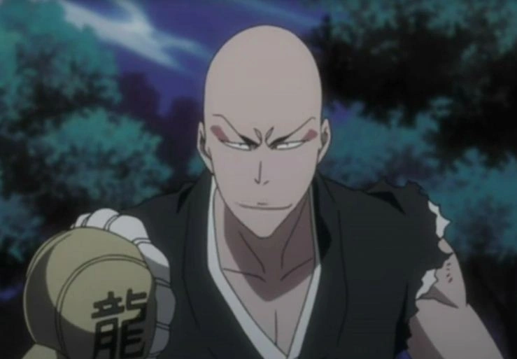 Madarame Ikkaku Bleachwiki Fandom