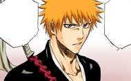 Ichigo requests that he be allowed to go to Hueco Mundo alone.