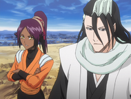 Yoruichi warns Byakuya to not intervene.