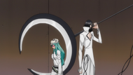 Nelliel Tu Odelschwanck, Bleach Wiki