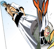 Grimmjow Jaegerjaquez suddenly appears in front of Nel.