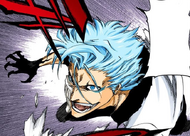 630Grimmjow pursues