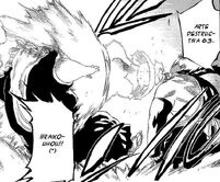 Bleach11 (2)