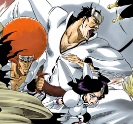 Espada Bleach Wiki Fandom Espada Bleach Wiki Fandom