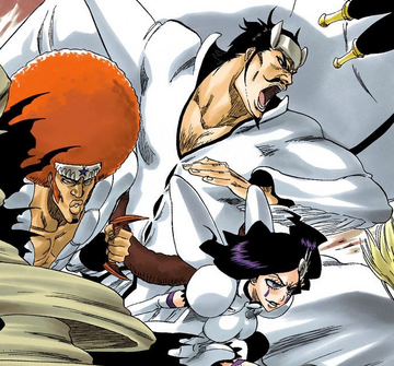 Espada, Bleach Wiki