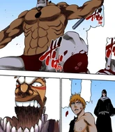 Ichigo watches as Yammy proclaims that he will kill everyone for the loss of his leg.