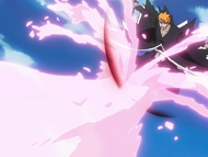 Collision! Black Bankai and White Bankai, Bleach Wiki