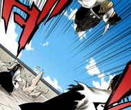 Komamura leaps away from the fight between Kenpachi and Tōsen.