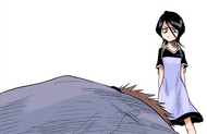 Ichigo confesses to Rukia that he got his mother killed.