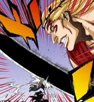 Gerard Valkyrie Bleach Wiki Fandom
